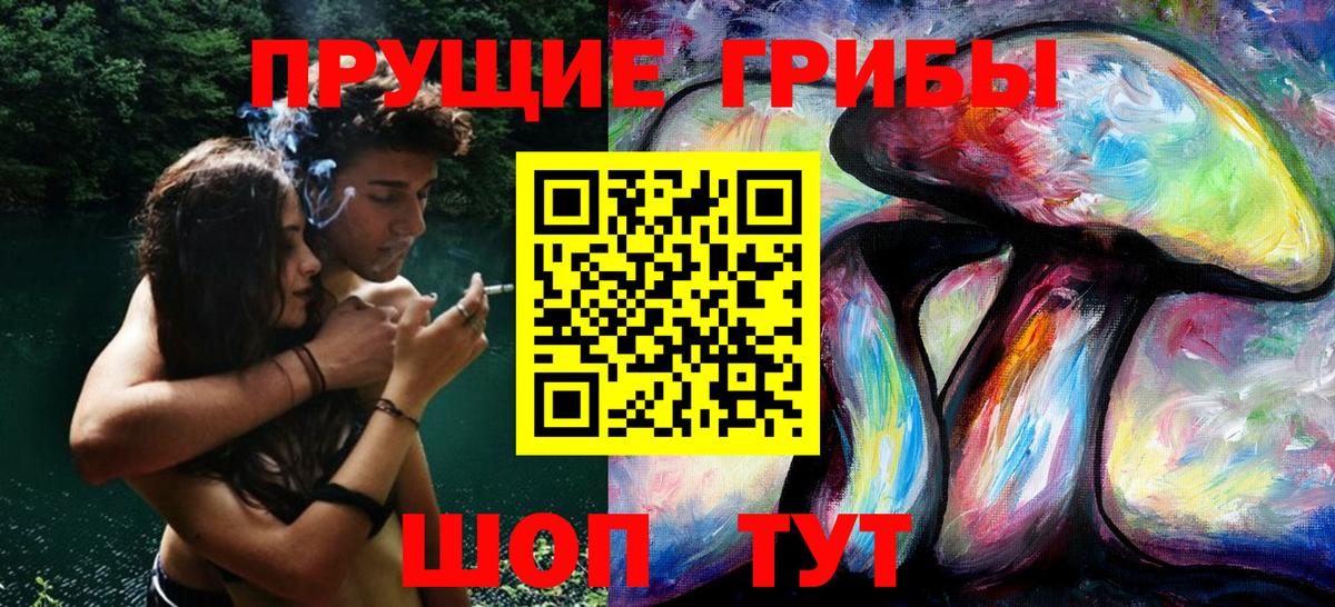 Шарыпово  Галлюциногенные грибы ЛСД  Вход с VPN 